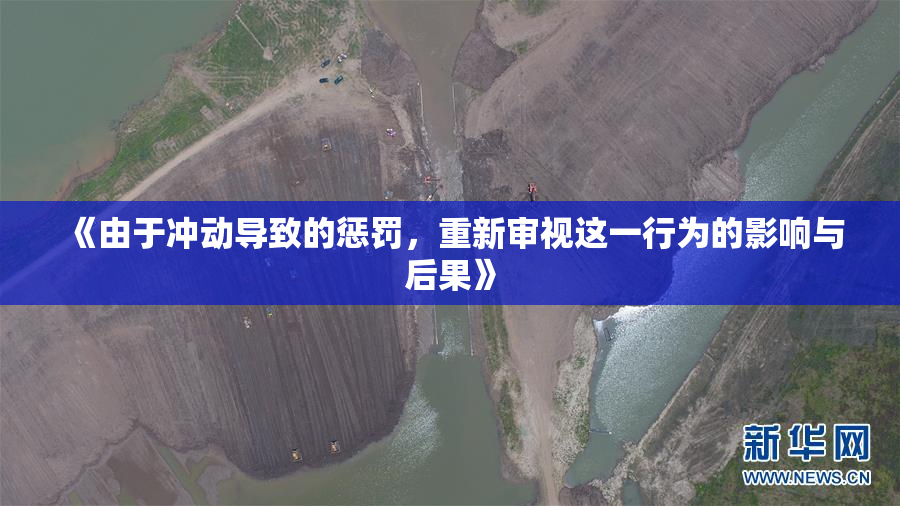 《由于冲动导致的惩罚，重新审视这一行为的影响与后果》