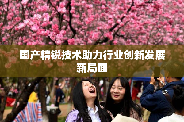 国产精锐技术助力行业创新发展新局面
