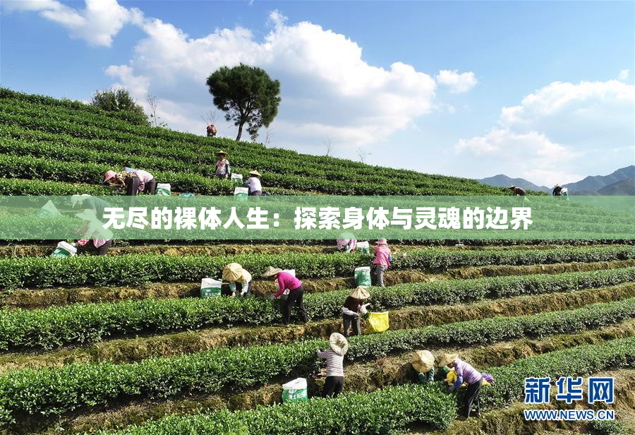 无尽的裸体人生：探索身体与灵魂的边界