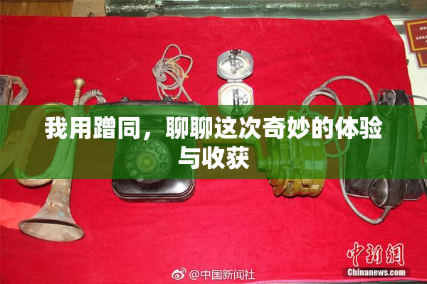 我用蹭同，聊聊这次奇妙的体验与收获