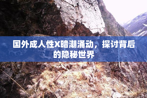 国外成人性X暗潮涌动，探讨背后的隐秘世界