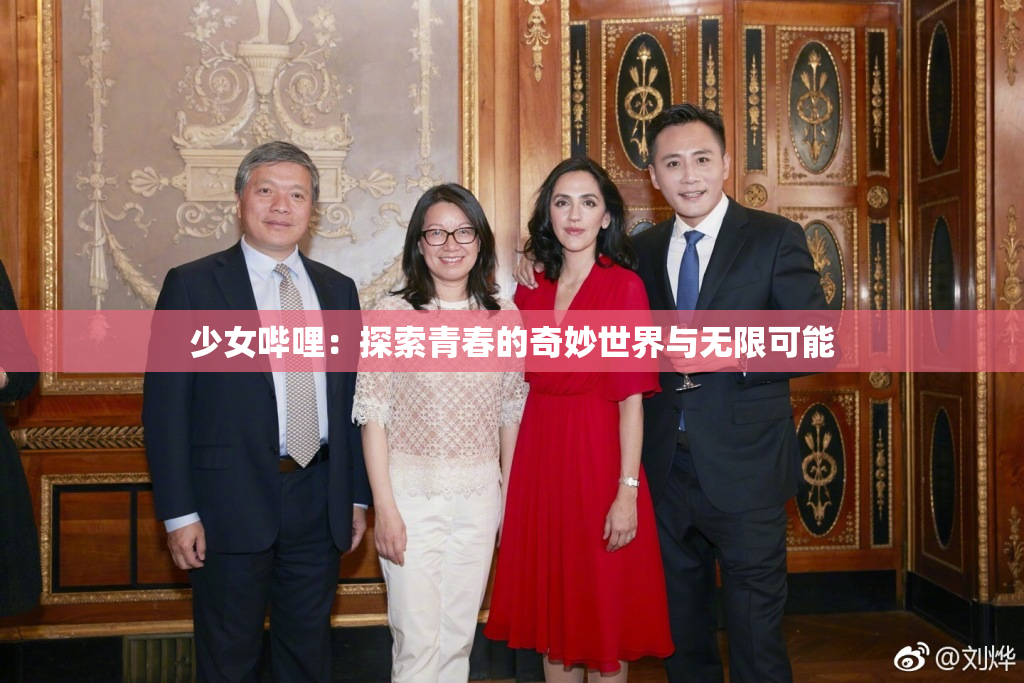 少女哔哩：探索青春的奇妙世界与无限可能