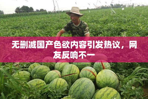 无删减国产色欲内容引发热议，网友反响不一