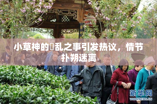 小草神的婬乱之事引发热议，情节扑朔迷离