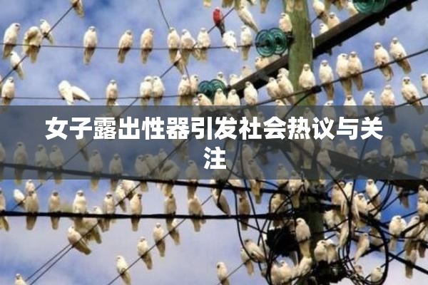 女子露出性器引发社会热议与关注