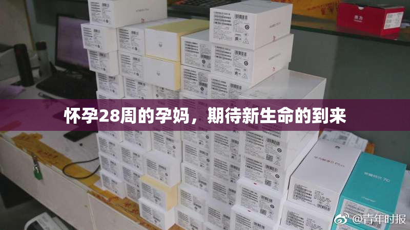 怀孕28周的孕妈，期待新生命的到来