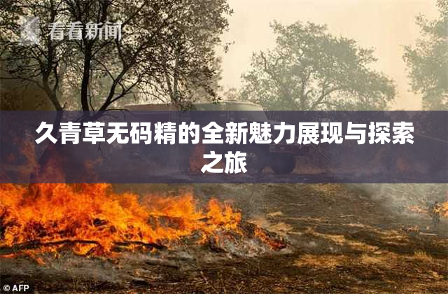 久青草无码精的全新魅力展现与探索之旅