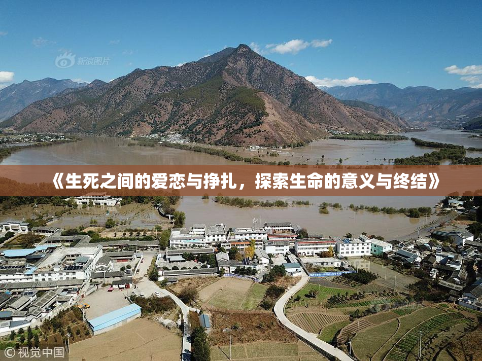 《生死之间的爱恋与挣扎，探索生命的意义与终结》