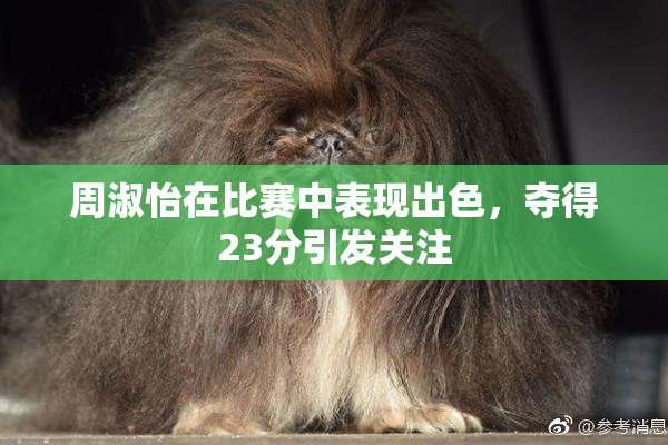 周淑怡在比赛中表现出色，夺得23分引发关注