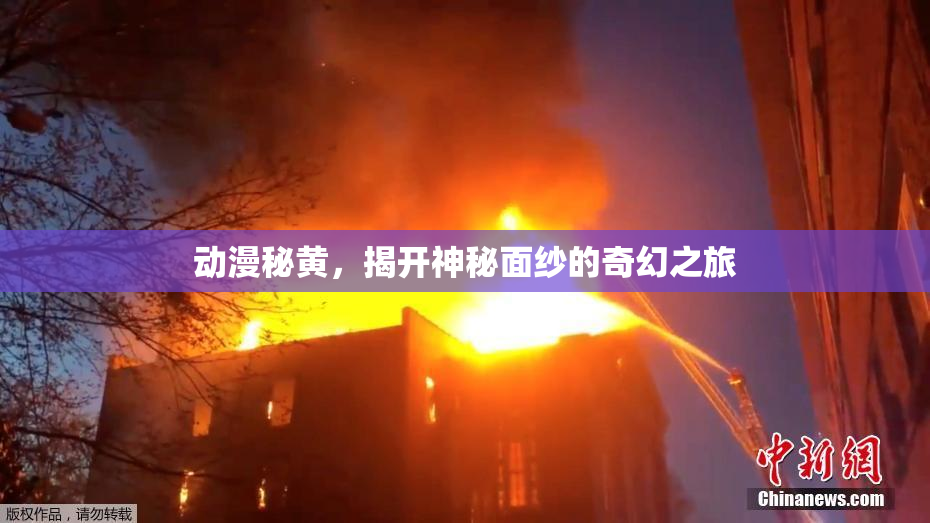 动漫秘黄，揭开神秘面纱的奇幻之旅