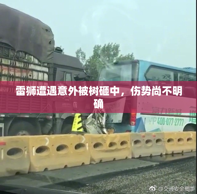 雷狮遭遇意外被树砸中，伤势尚不明确