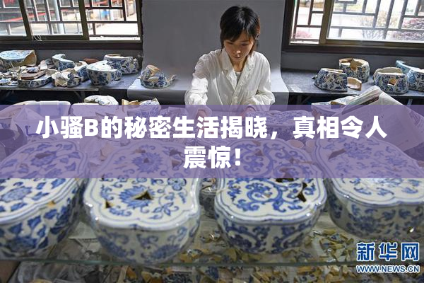 小骚B的秘密生活揭晓，真相令人震惊！