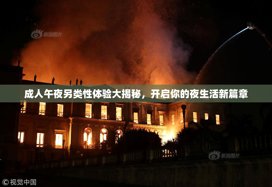 成人午夜另类性体验大揭秘，开启你的夜生活新篇章