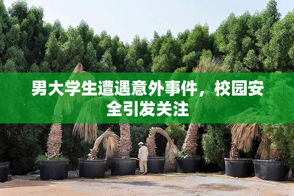 男大学生遭遇意外事件，校园安全引发关注