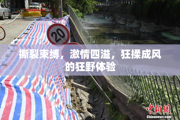 撕裂束缚，激情四溢，狂揉成风的狂野体验