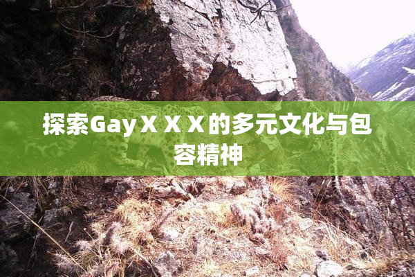 探索GayⅩⅩⅩ的多元文化与包容精神