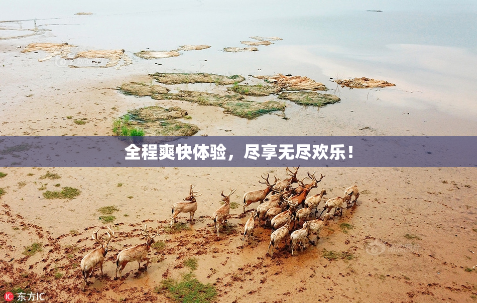 全程爽快体验，尽享无尽欢乐！
