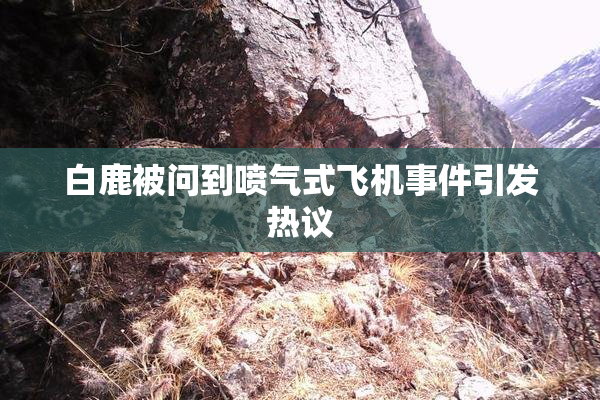 白鹿被问到喷气式飞机事件引发热议
