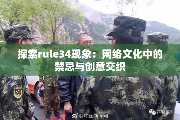 探索rule34现象：网络文化中的禁忌与创意交织