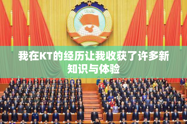 我在KT的经历让我收获了许多新知识与体验