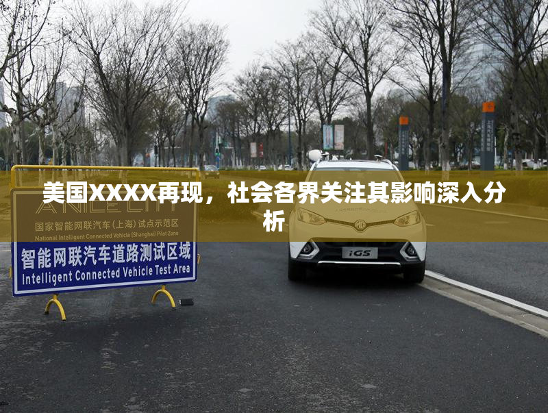 美国XXXX再现，社会各界关注其影响深入分析