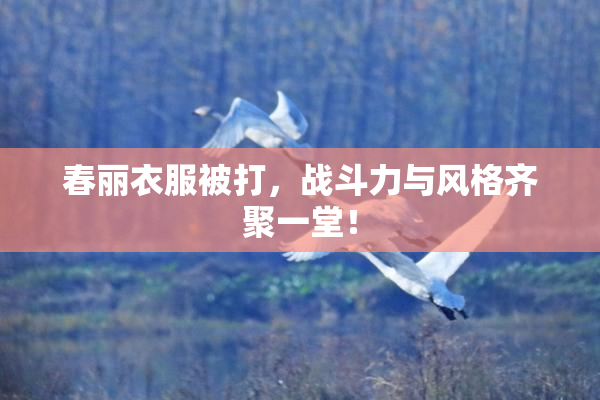 春丽衣服被打，战斗力与风格齐聚一堂！