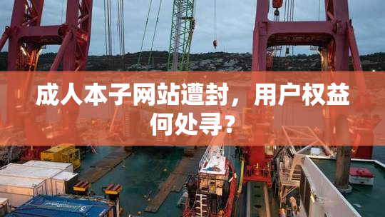 成人本子网站遭封，用户权益何处寻？