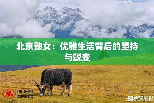北京熟女：优雅生活背后的坚持与蜕变