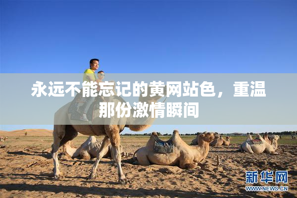 永远不能忘记的黄网站色，重温那份激情瞬间