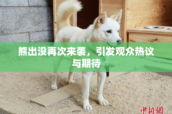 熊出没再次来袭，引发观众热议与期待