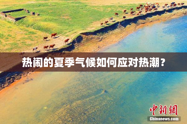 热闹的夏季气候如何应对热潮？