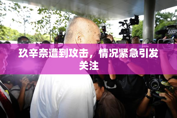 玖辛奈遭到攻击，情况紧急引发关注