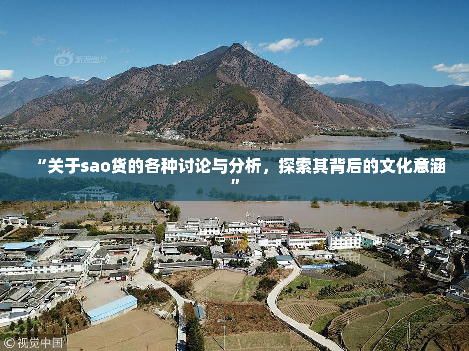 “关于sao货的各种讨论与分析，探索其背后的文化意涵”