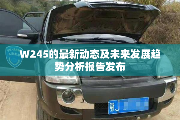 W245的最新动态及未来发展趋势分析报告发布