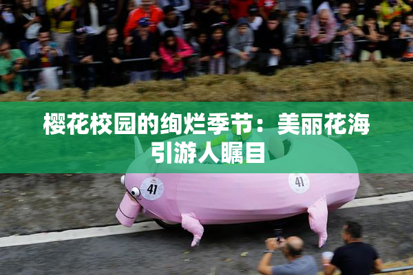 樱花校园的绚烂季节：美丽花海引游人瞩目