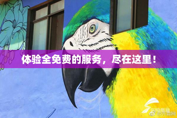 体验全免费的服务，尽在这里！