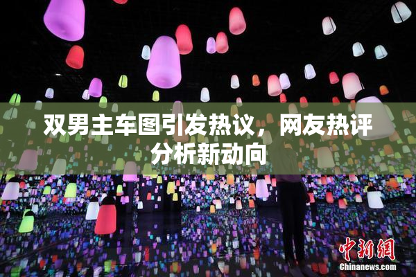 双男主车图引发热议，网友热评分析新动向