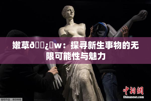 嫩草🌿‌w：探寻新生事物的无限可能性与魅力