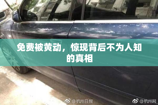 免费被黄动，惊现背后不为人知的真相