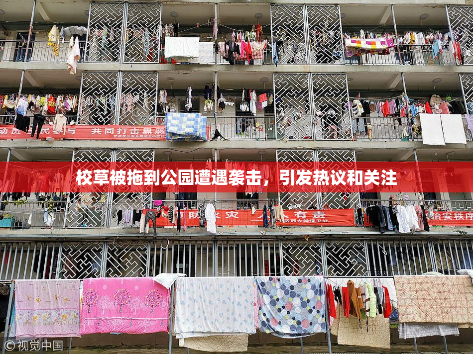 校草被拖到公园遭遇袭击，引发热议和关注