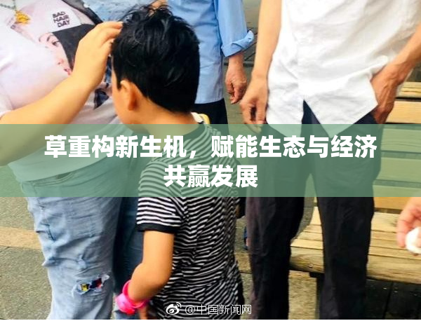 草重构新生机，赋能生态与经济共赢发展