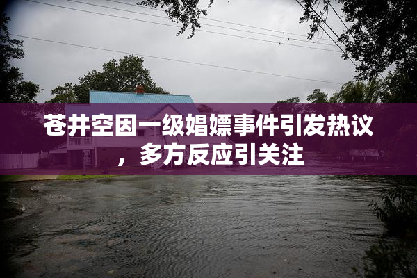 苍井空因一级娼嫖事件引发热议，多方反应引关注
