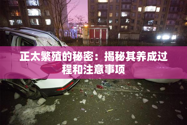 正太繁殖的秘密：揭秘其养成过程和注意事项