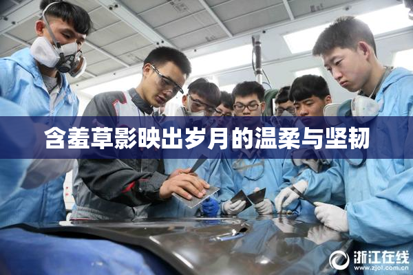 含羞草影映出岁月的温柔与坚韧