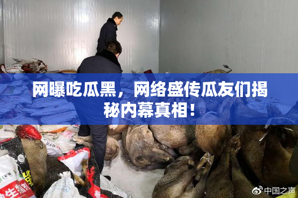 网曝吃瓜黑，网络盛传瓜友们揭秘内幕真相！
