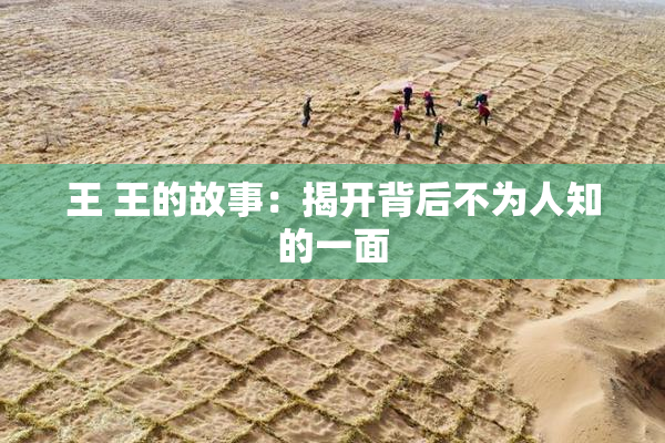 王 王的故事：揭开背后不为人知的一面
