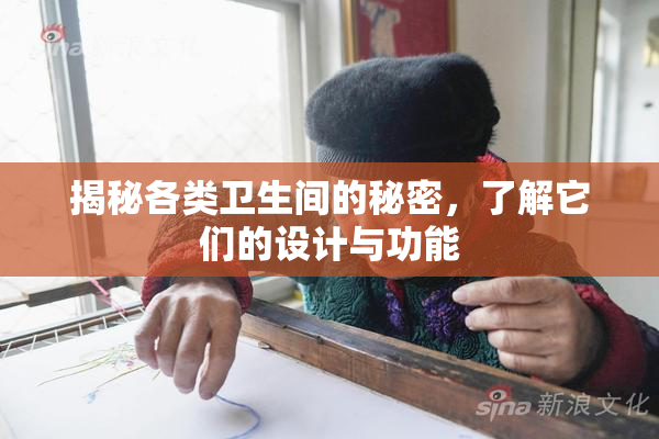 揭秘各类卫生间的秘密，了解它们的设计与功能