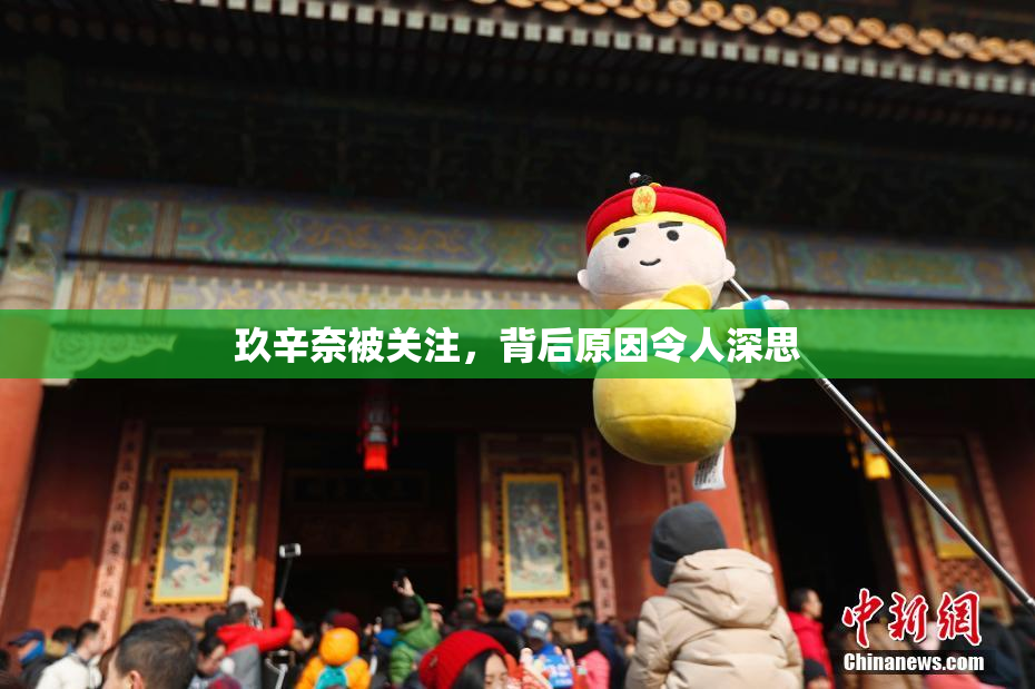 玖辛奈被关注，背后原因令人深思