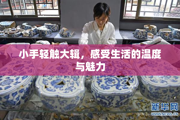 小手轻触大辑，感受生活的温度与魅力