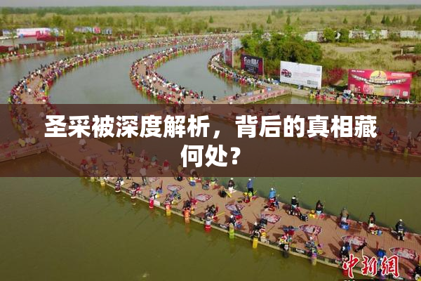 圣采被深度解析，背后的真相藏何处？